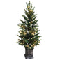 Pre-Lit Potted Pine Christmas Tree, 4 ft (S48FW23-138TW-174LED)