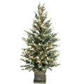Pre-Lit Potted Pine Christmas Tree, 4 ft (S48FW27-162T-174LED)