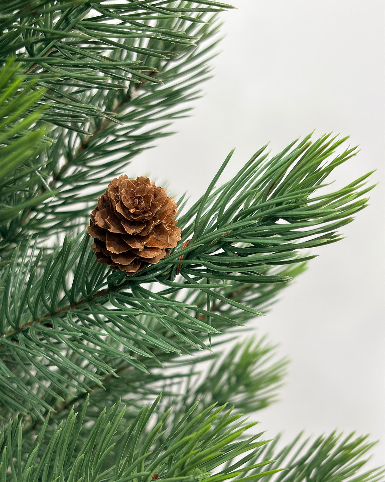 Mini Christmas Tree 36" – Greenery with Natural Pine Cones & Burlap Base – YCY277-36T