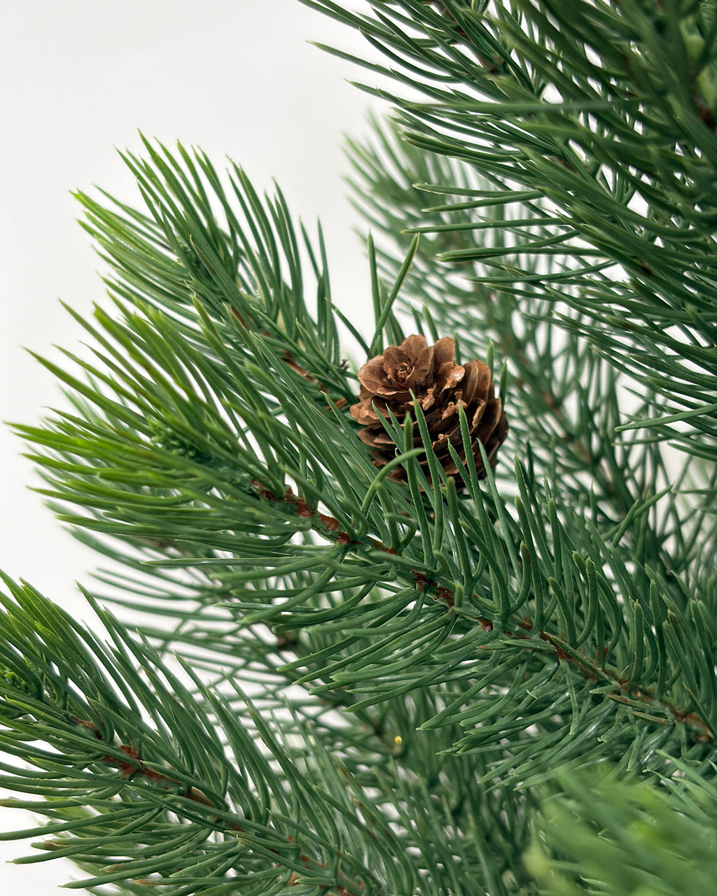 Mini Christmas Tree 36" – Greenery with Natural Pine Cones & Burlap Base – YCY277-36T