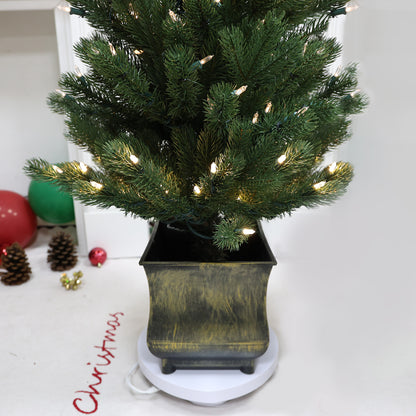 Pre-Lit Potted Pine Christmas Tree, 4 ft (S48FW23-168T-174LED)