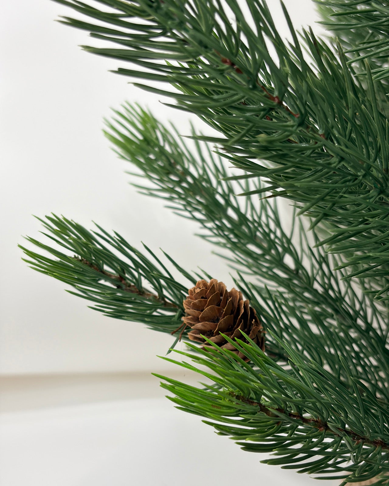 Mini Christmas Tree 36" – Greenery with Natural Pine Cones & Burlap Base – YCY277-36T