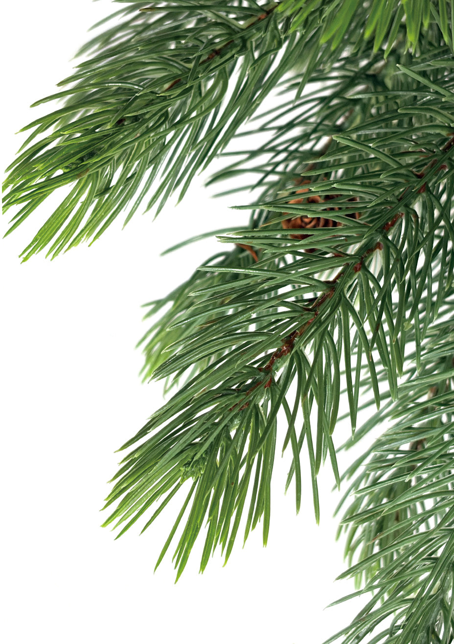 Mini Christmas Tree 24" – Greenery with Natural Pine Cones & Burlap Base – YCY277-24T